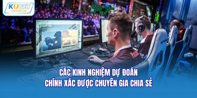 Các kinh nghiệm dự đoán chính xác được chuyên gia chia sẻ